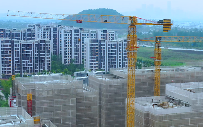 坐标杭州，天游TY8线路检测中心塔机组团“上大学”